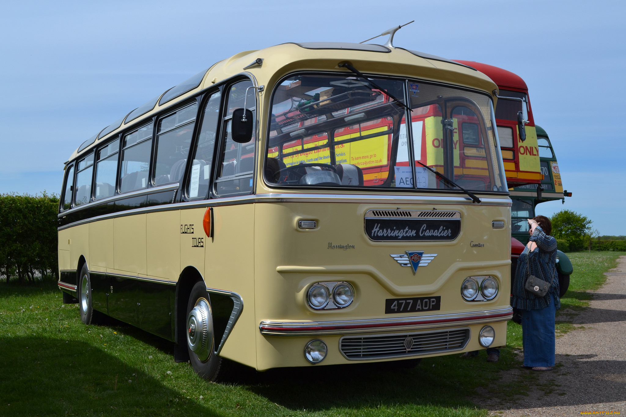 1960 aec reliance- harrington, , , , , , 